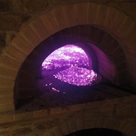 Agriturismo Le Case 阿西西 外观 照片