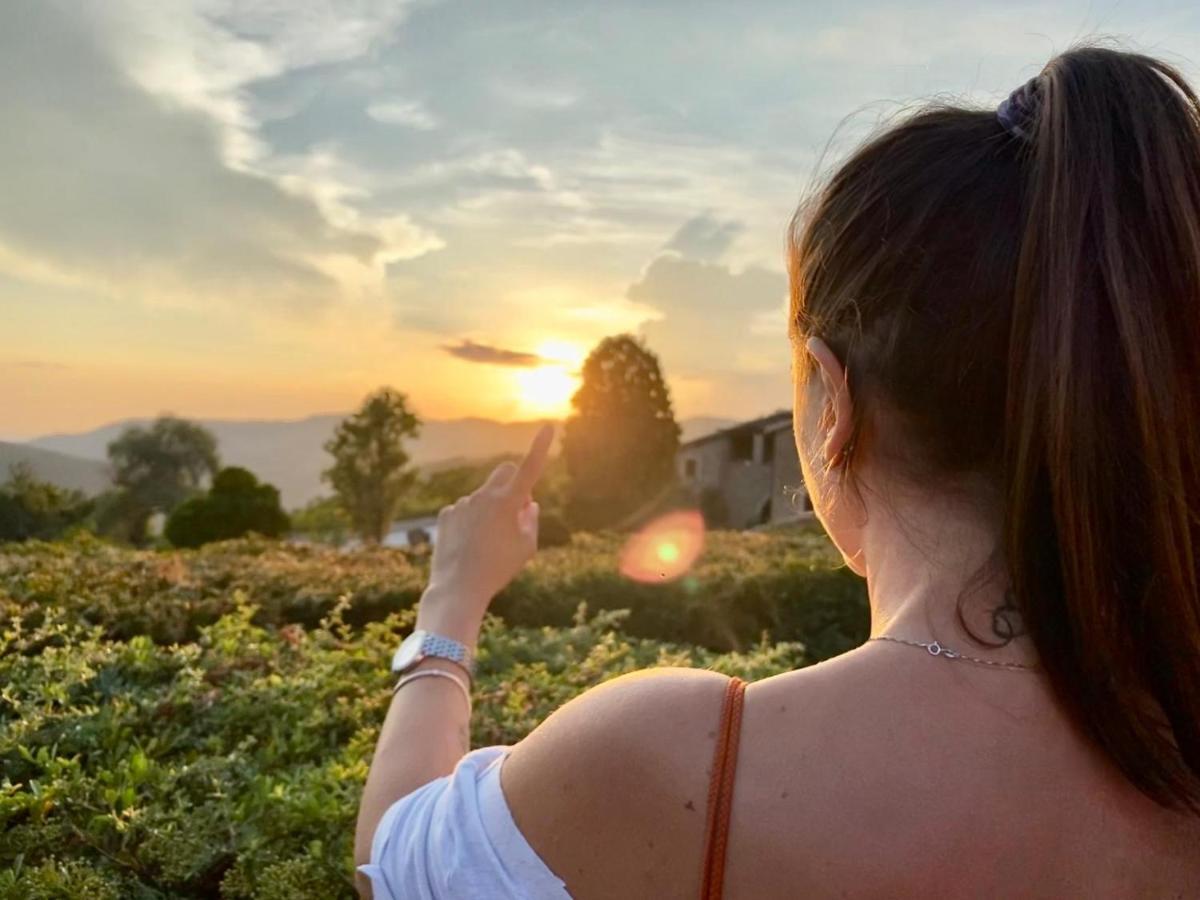 Agriturismo Le Case 阿西西 外观 照片