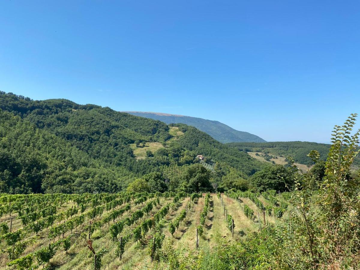 Agriturismo Le Case 阿西西 外观 照片