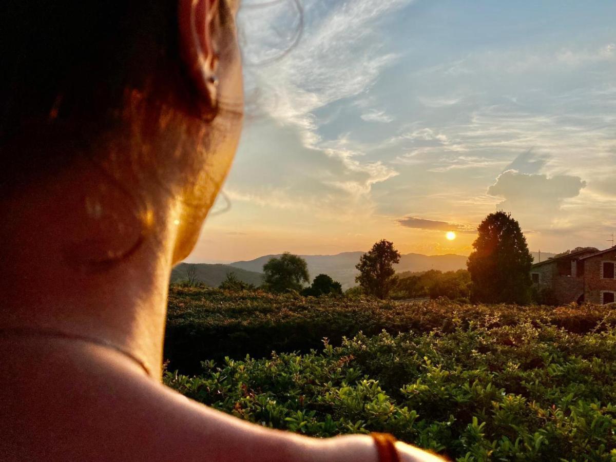 Agriturismo Le Case 阿西西 外观 照片