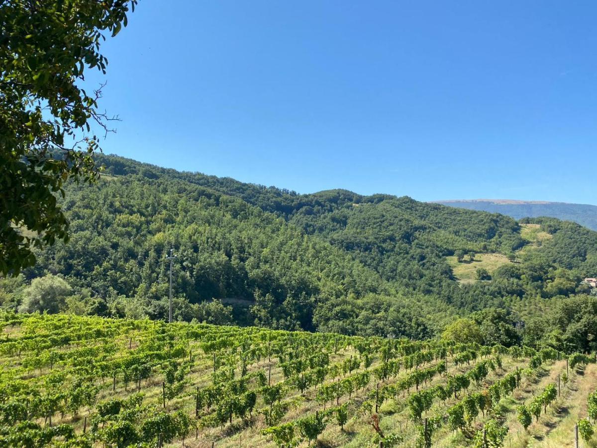 Agriturismo Le Case 阿西西 外观 照片