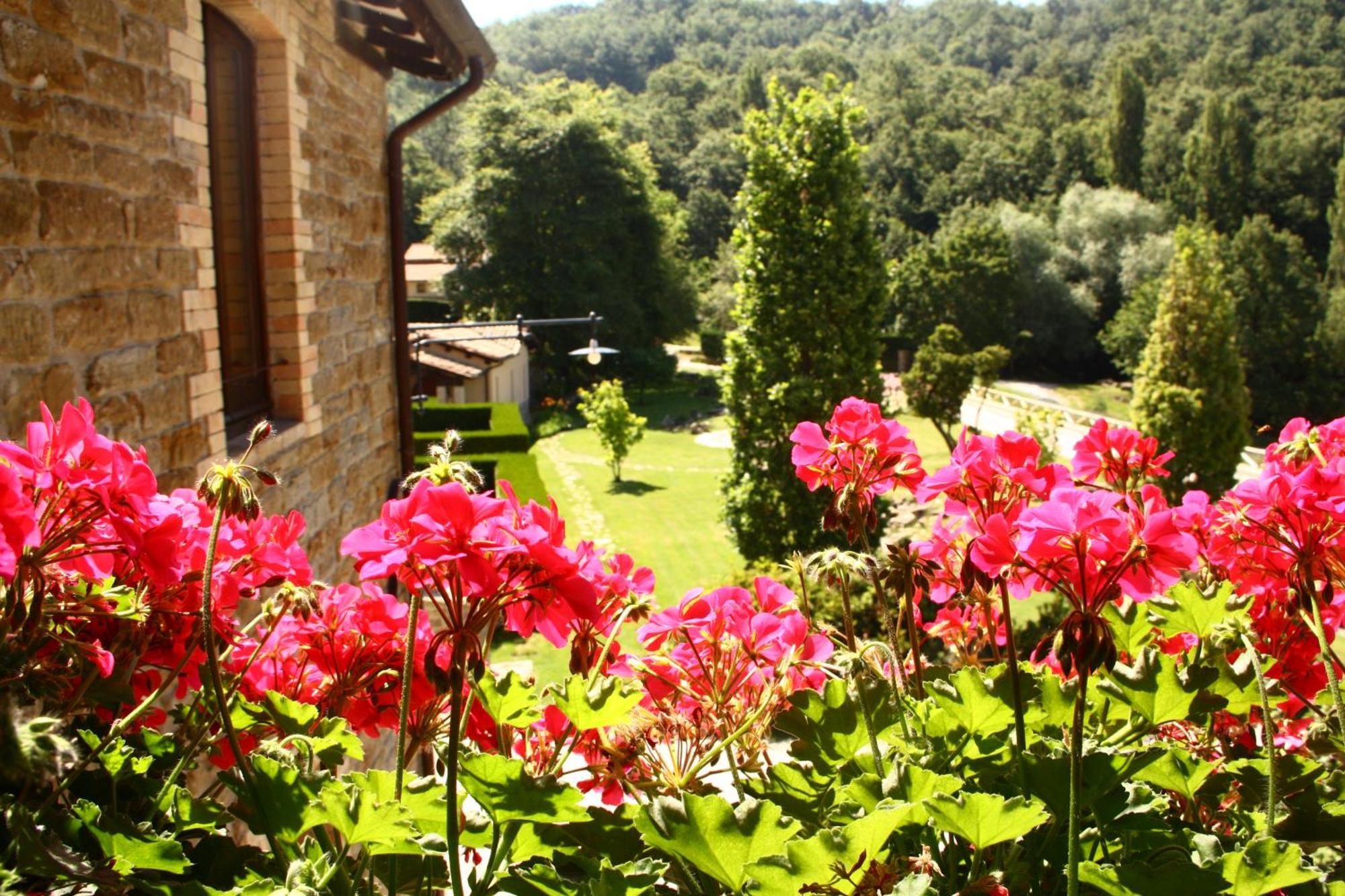 Agriturismo Le Case 阿西西 外观 照片