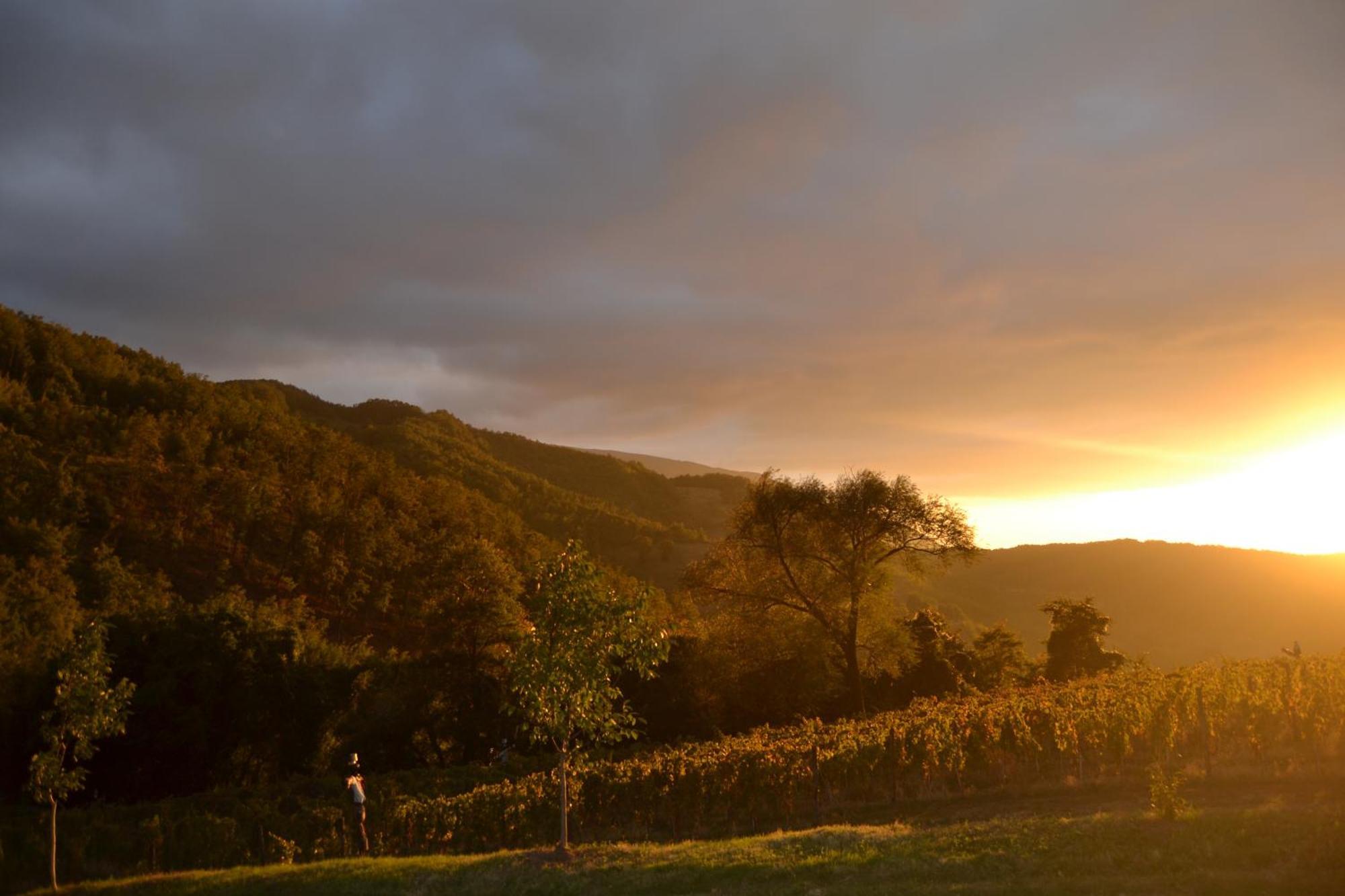 Agriturismo Le Case 阿西西 外观 照片