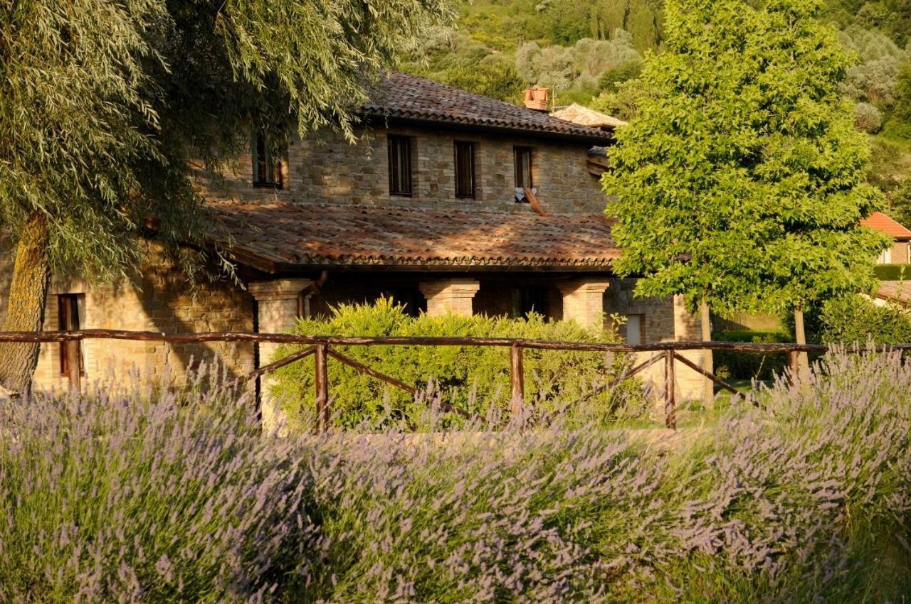 Agriturismo Le Case 阿西西 外观 照片
